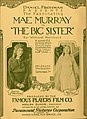 The Big Sister (1916)