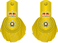 1810 to 1855 colonel's shoulder rank insignia