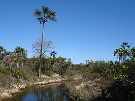 Nationaal park Grande Sertão Veredas