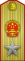 中华人民共和国元帅肩章
