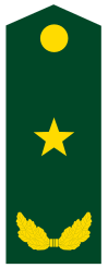 少将