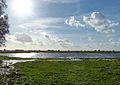 Waterrijk vogelreservaat