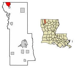 Location of Springhill in Webster Parish, Louisiana.