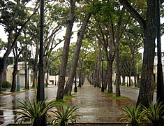 Bolívar Avenue in Maturín