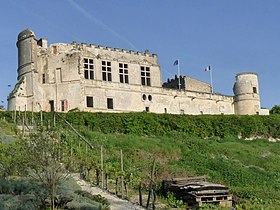 Image illustrative de l’article Château de Bouteville