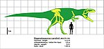 Gigantozauro palyginimas su žmogumi