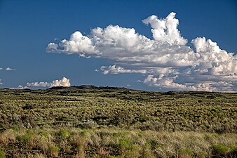 View south towards the nested splatter cones