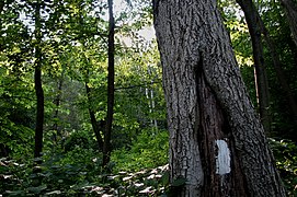 Repère typique blanc en Pennsylvanie