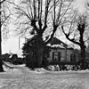 Boerderij onder afgewolfd dak