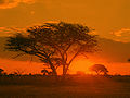 Parc national de Matobo