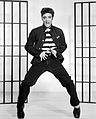 Image 17Elvis Presley was the best-selling musical artist of the decade. He is considered as the leading figure of the rock and roll and rockabilly movement of the 1950s. (from 1950s)