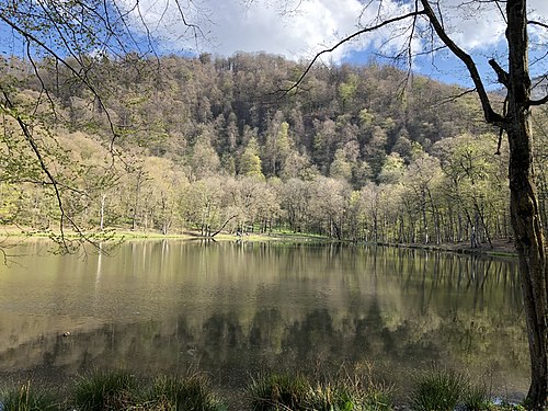 Գոշ լիճ, Տավուշի մարզ