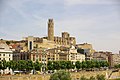 La Seu Vella des de Cappont