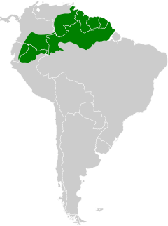 Distribución del trompetero aligrís