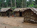 Cases de pigmeus, a l'interior de la selva