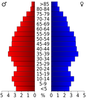 Bevolkingspiramide Henry County