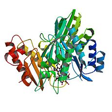 Структура сульфитредуктазы из E. coli[1].