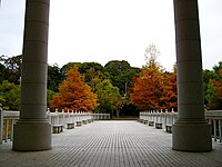 西園寺記念館玄関から金閣寺方面を望む