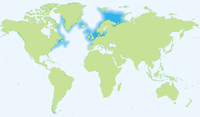 Distribución do bacallau