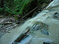 Defileul Bolovănişului-Cascada Bolovăniş-Treapta inferioară