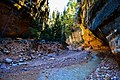 Rattlesnake Creek Trail.