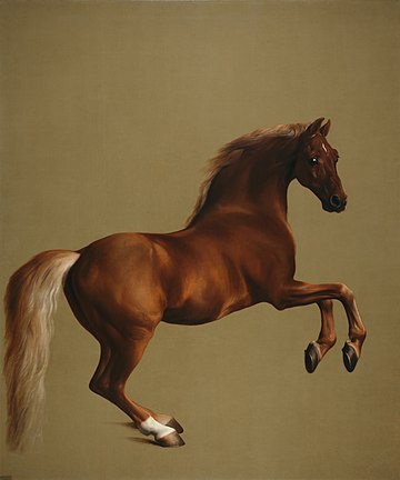 Whistlejacket