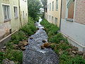 Linker Arm der Fichtenohe in Pegnitz