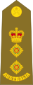 Colonel