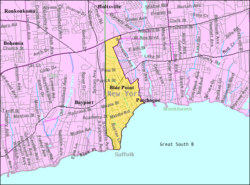 U.S. Census map