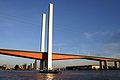 View of the bridge from the bank of the Yarra River