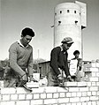 הקמת בתים חדשים בקיבוץ, 1 בפברואר 1946, צילומו של זולטן קלוגר. בצילום, חלוצי עליית הנוער, עולים חדשים מגרמניה, עובדים בבנייה ביישוב. מאחור: הממגורה של היישוב.