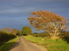 Lane at Wolsty - geograph.org.uk - 572723