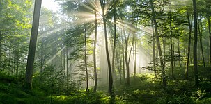 Sonnenaufgang im Naturpark Westliche Wälder Augsburg Photograph: Daniel139601