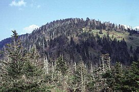 Vue du dôme Clingmans.