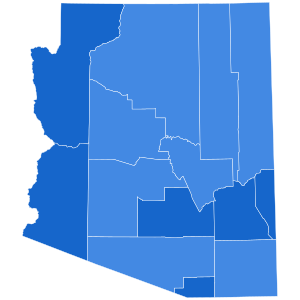 Map of election results by county