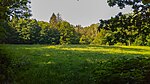 Lichtung im Wald südlich Holzkoppel