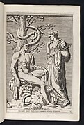 Hesperides and Heracles from the book 'De malorvm avreorvm cvltvra et vsv libri quatuor' by Giovanni Baptista Ferrari