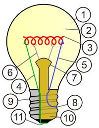 Schema globuli electrici