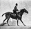 alt:animiertes GIF: Reiter auf Pferd, der nach rechts ein Hindernis nach dem anderen nimmt