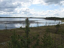 Järven luoteisrantaa lintutornista nähtynä.