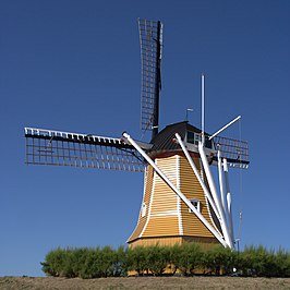 De Hoop (2009)