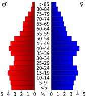 Bevolkingspiramide Randall County