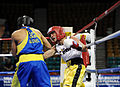 2009 U.S. National Boxing Championships.