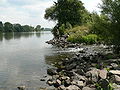 Mouth of the Rodau into the Main near Mühlheim