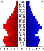 Bevolkingspiramide Lonoke County