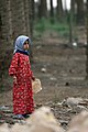 An Iraqi girl holding Lavash