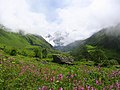 Parc Nacional de la vall de les flors, patrimoni de la humanitat (UNESCO)