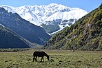 Dasht-e Daryasar, Mount Sialan