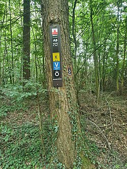 Markierung Limberg-Nonnensteig-Weg beim Wiehenturm