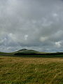 Brown Willy, Bodmin Moor; heechste punt fan Cornwall